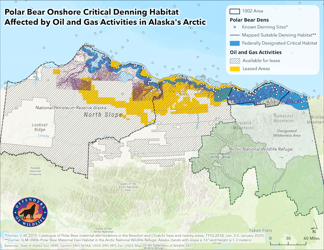 New Population Estimates Signal Trouble for Alaska's Polar Bear
